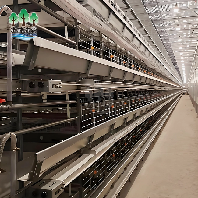 Eight-layer Commercial Layer Cage System